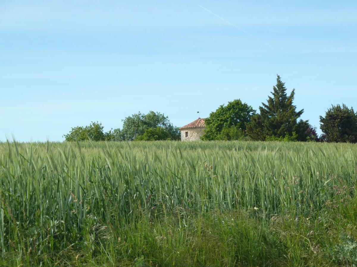 לינה וארוחת בוקר Homps  Chateau De Puissentut מראה חיצוני תמונה