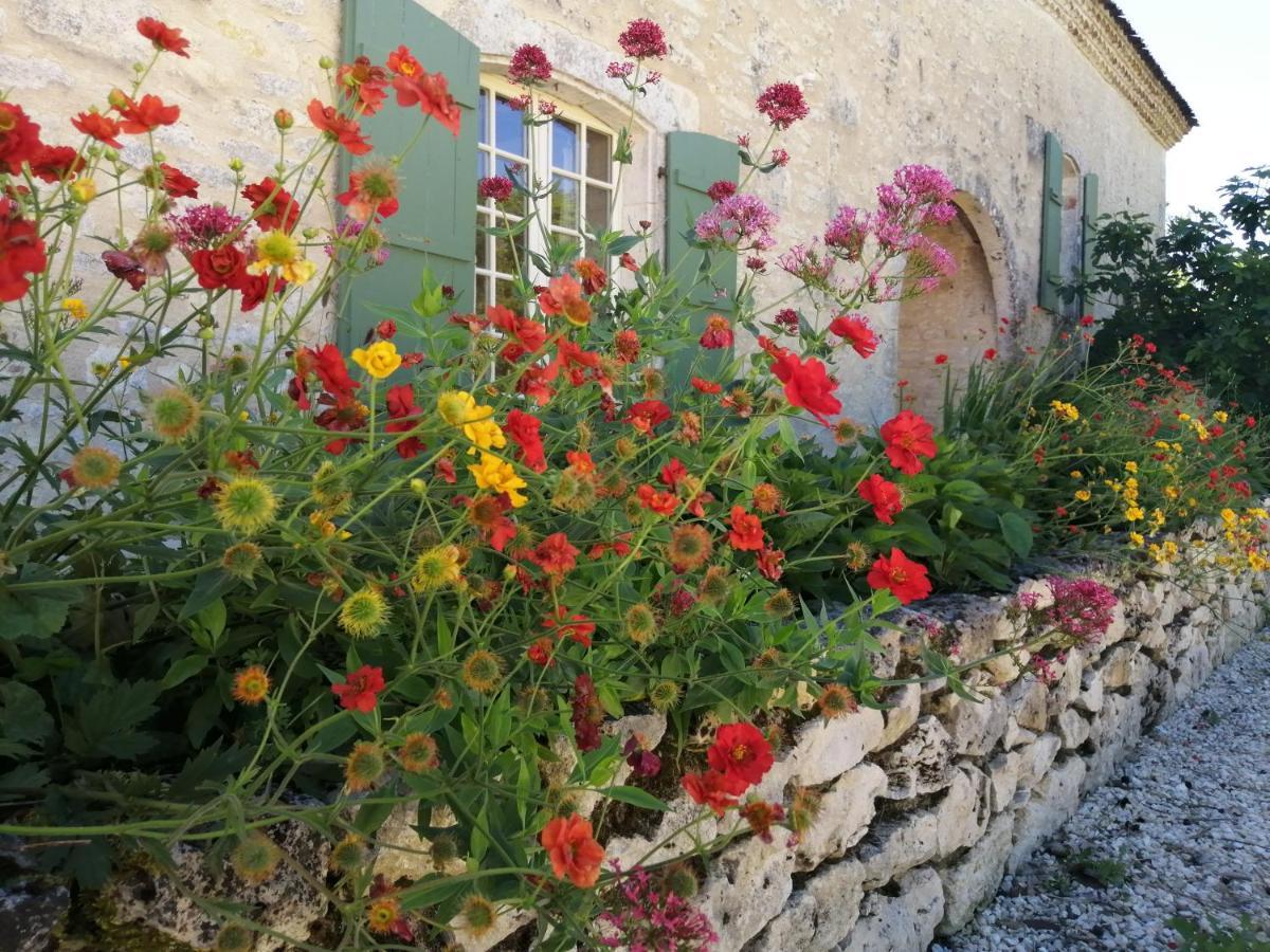 לינה וארוחת בוקר Homps  Chateau De Puissentut מראה חיצוני תמונה